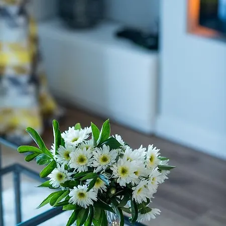 New Exclusive Kazimierz Apartments * 克拉科夫