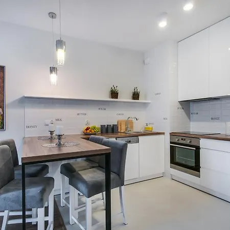 公寓 New Exclusive Kazimierz Apartments 克拉科夫
